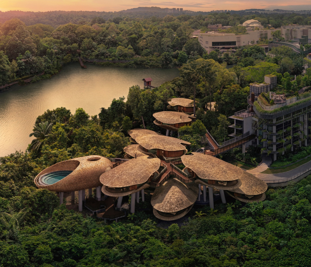 MRR_Facade_Mandai Rainforest Resort.png